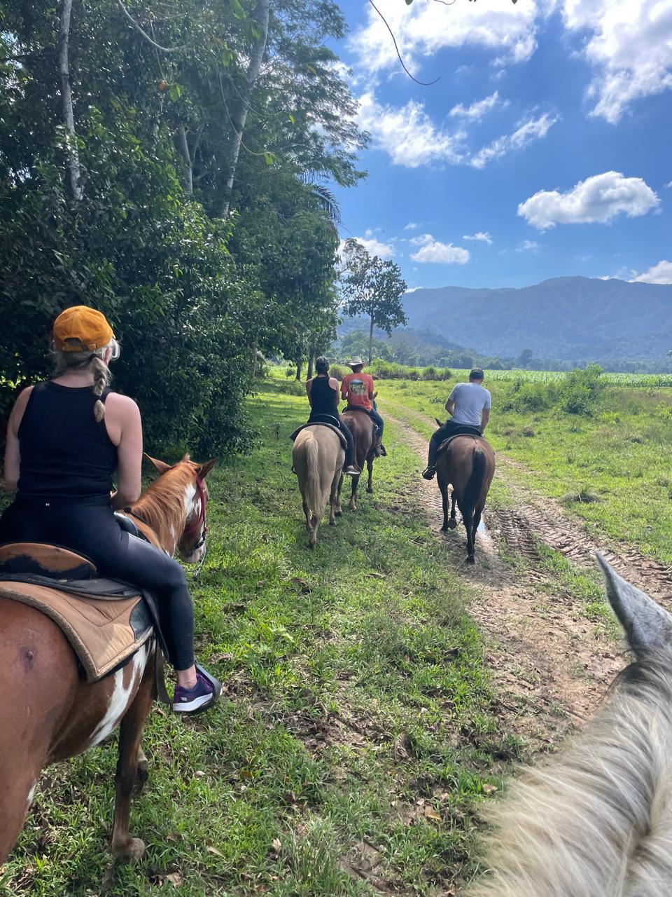 Horseback Riding